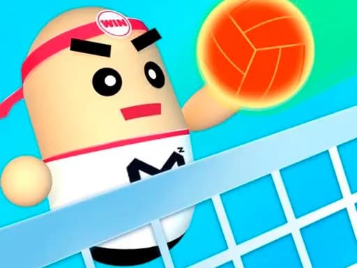 3D Harika Voleybol